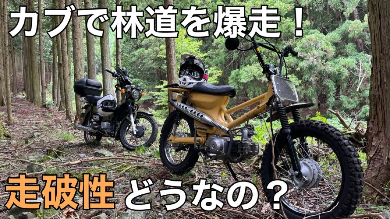 【ｶｽﾀﾑｶﾌﾞ 林道】ｸﾛｽｶﾌﾞとｵﾌﾛｰﾄﾞｶﾌﾞで林道に突撃！ｶﾌﾞって走破性高くね⁈【C50 CC110  ﾓﾄﾌﾞﾛｸﾞ 4mini ﾂｰﾘﾝｸﾞ】