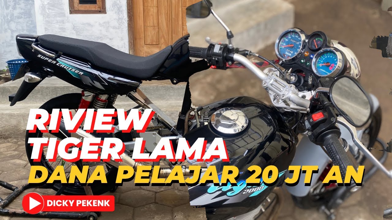 RIVIEW TIGER LAMA BAJED 20 JT AN #tigerlama #tiger2000 #tilas #riviewtiger