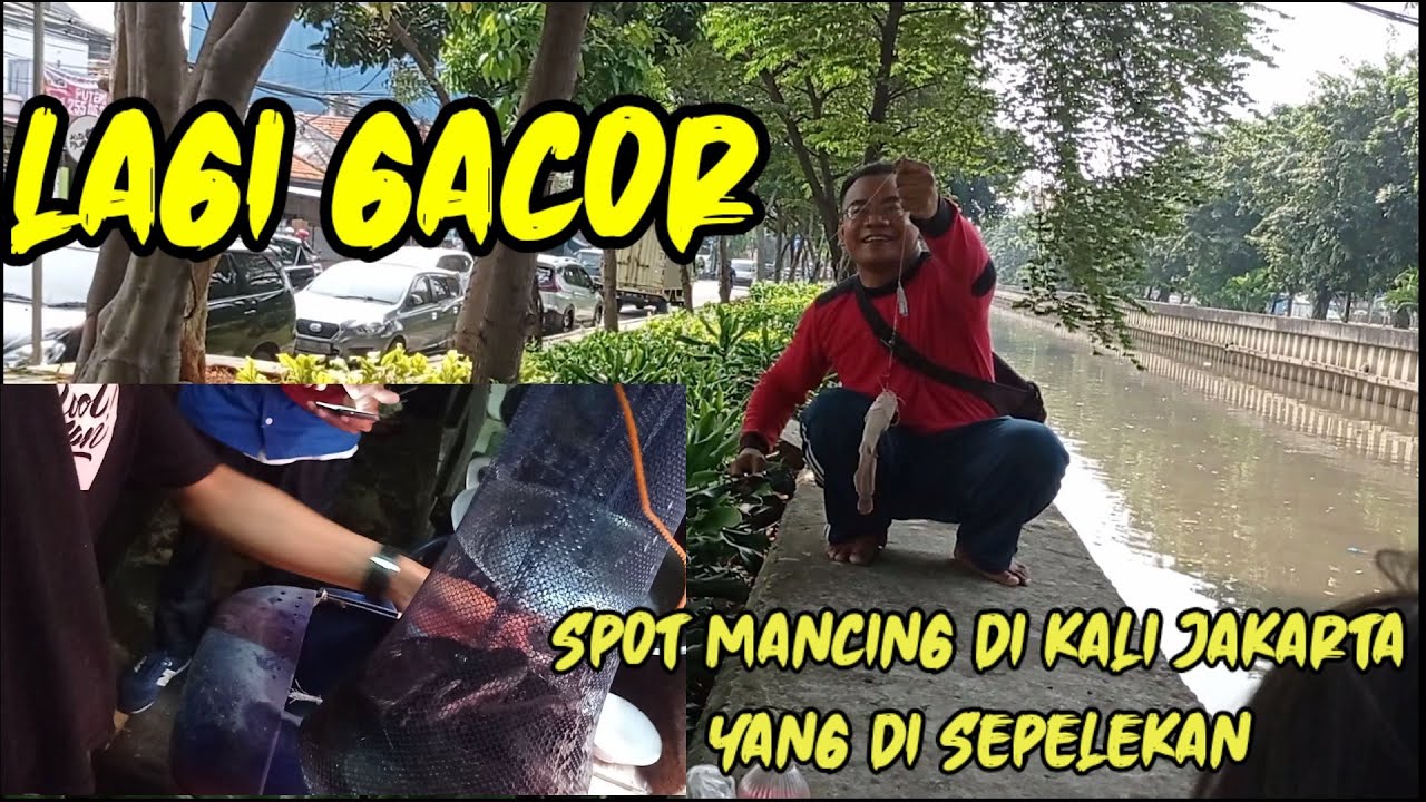 MANCING DI KALI JAKARTA //PESTA STREK