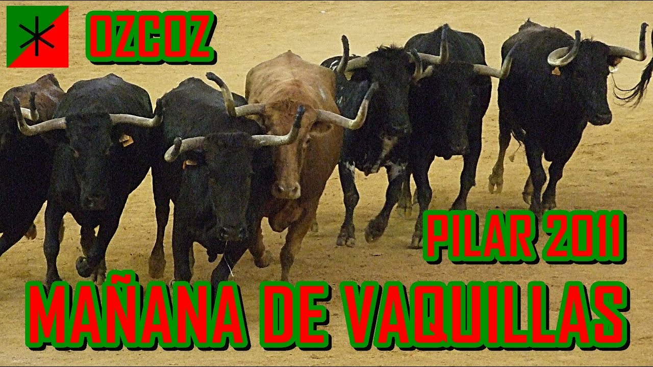 🟡🏃🏻‍♂️🐂 MAÑANA DE VAQUILLAS DEL PILAR 2011 DE LOS HERMANOS OZCOZ