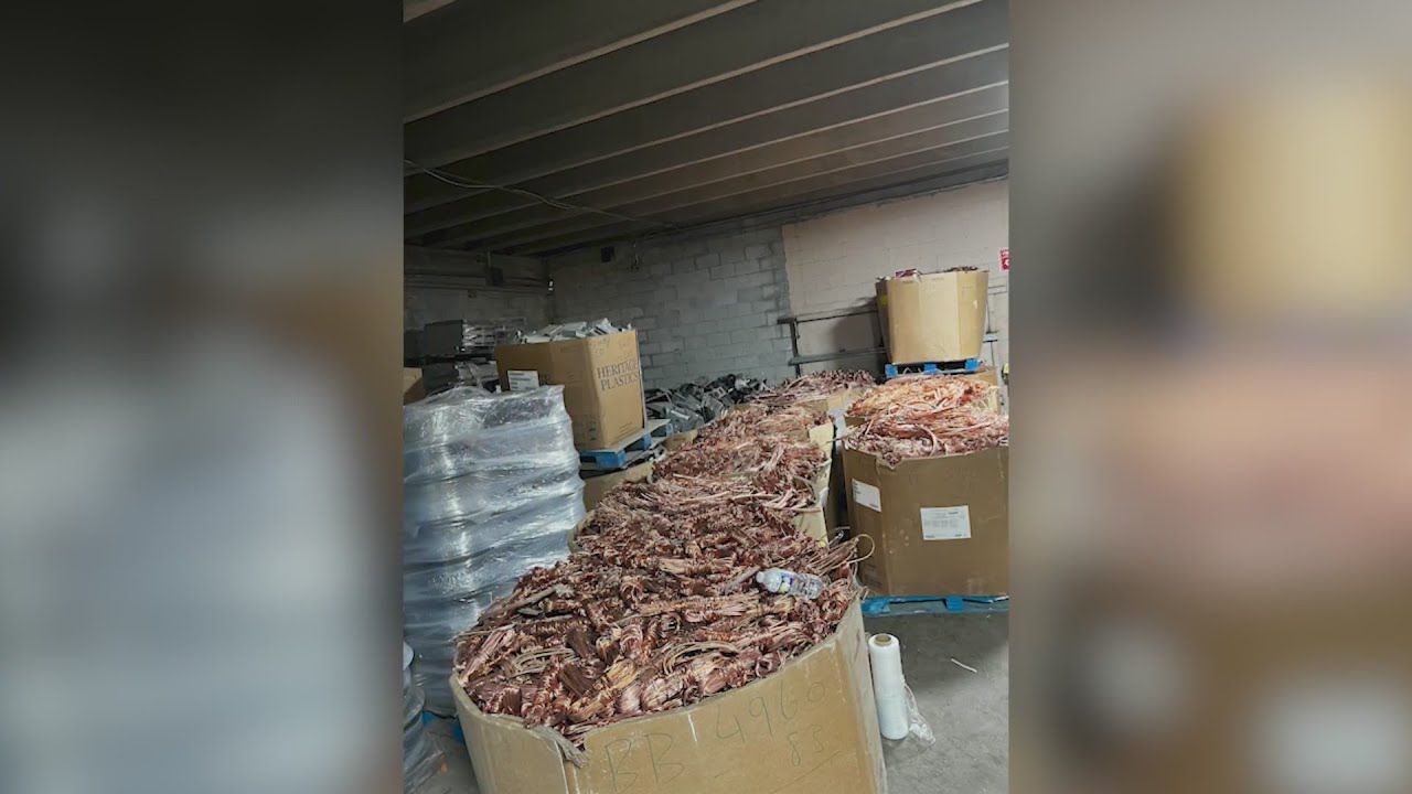 Stolen catalytic converters seized at recycling center