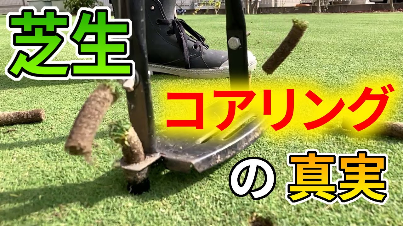 【芝生】コアリング／有機物除去と固結緩和のための必須作業