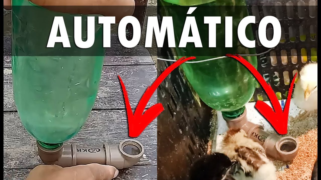 Como Fazer BEBEDOURO CASEIRO AUTOMÁTICO Para Aves Pequenas