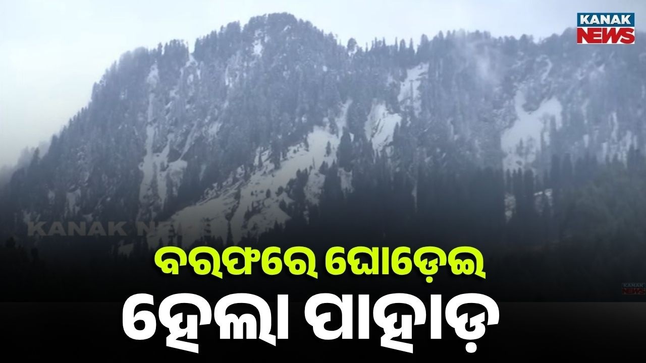 Doda Becomes A White Paradise! Fresh Snowfall Blankets J&K Mountains