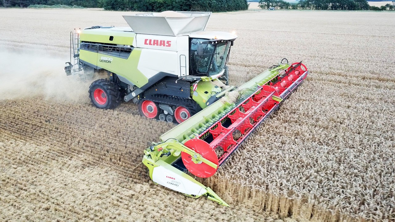 Claas Lexion 8800 Harvesting Wheat | Big Farming