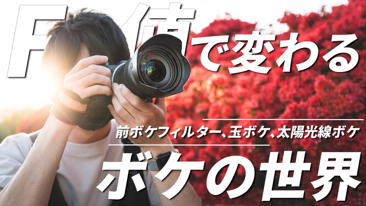F値をマスターするとできる様々なボケ撮影テクニック！【レンズ壊れた】