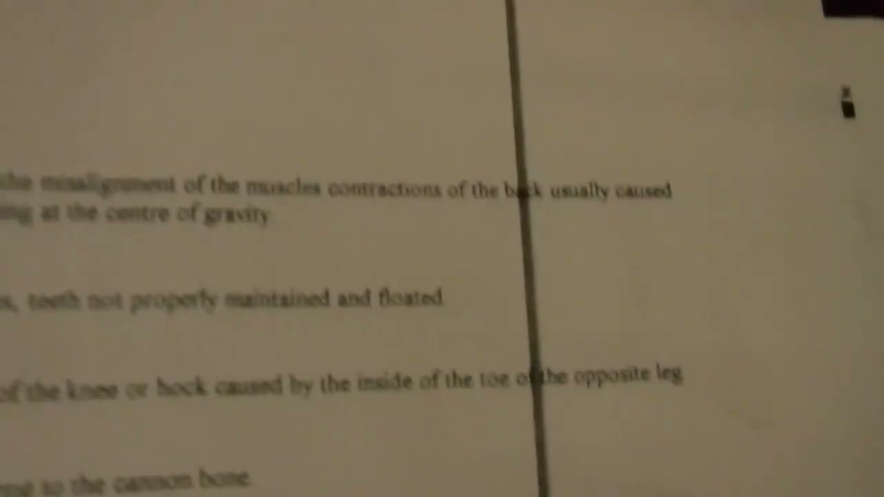 Diagram of the different illnesses and injuries in the Horse.