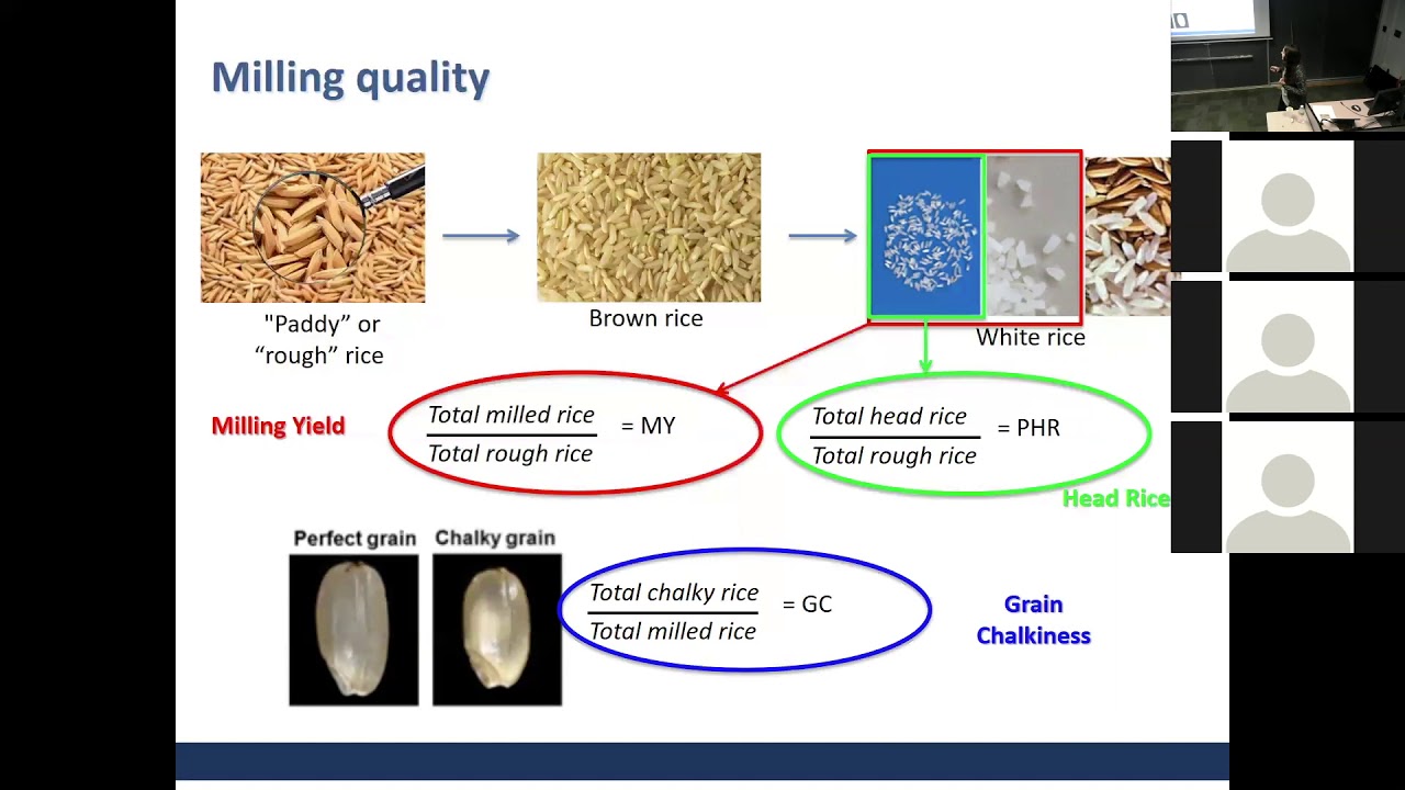 Eliana Monteverde: Implementing genomic selection in the Uruguayan rice breeding program