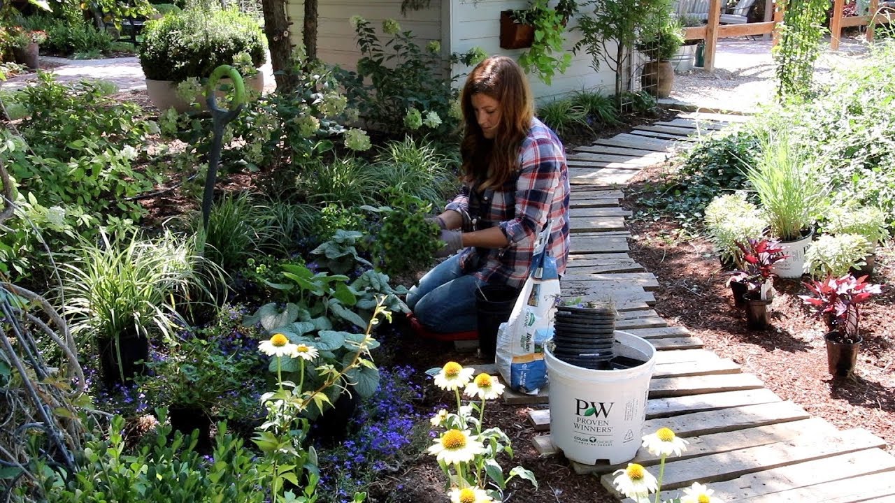 Pallet Walkway Plant Tour 🌿// Garden Answer
