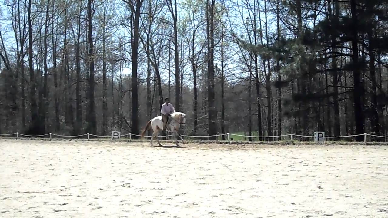 solomon mihran 010. canter problems