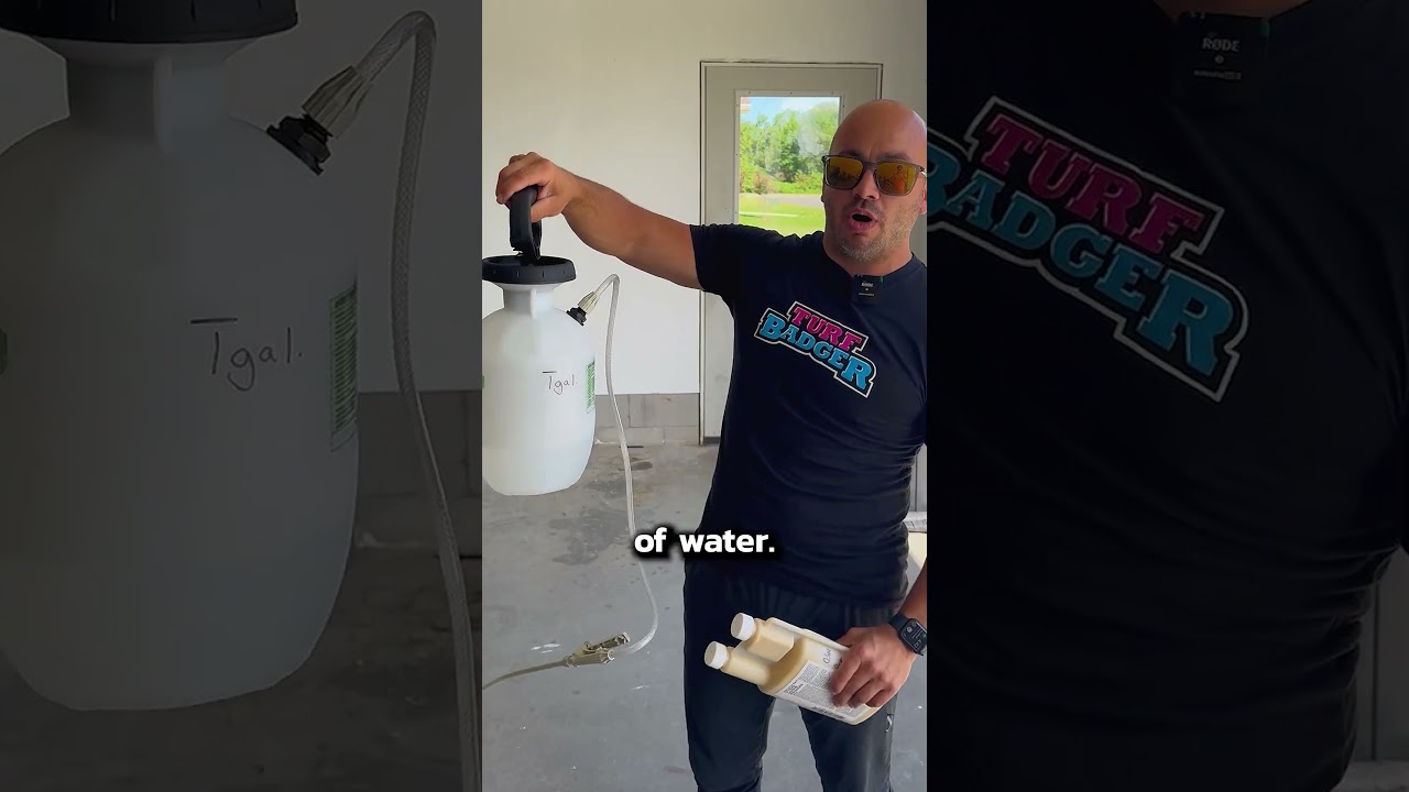 How to Do Your Own Pest Control!