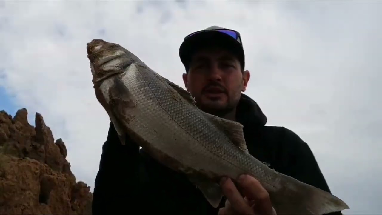 Summer bass fishing on the holderness coast