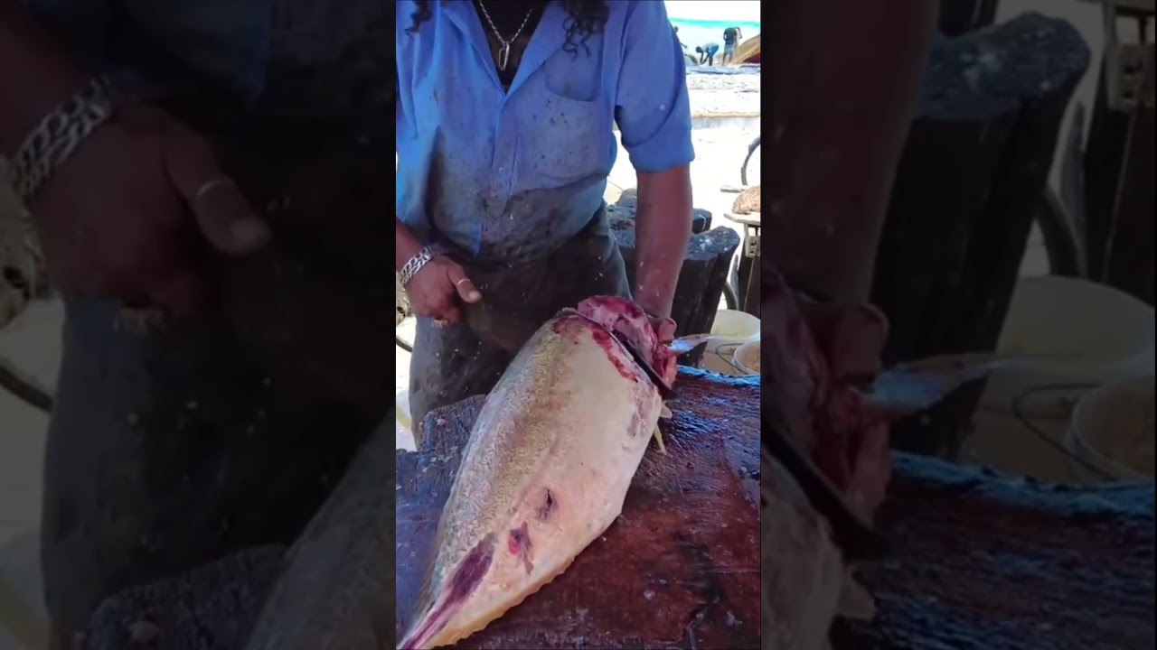 Giant Trevelly Fish 🐠 Cutting #shorts #viralvideo #trendingshorts #fishcutting #fish
