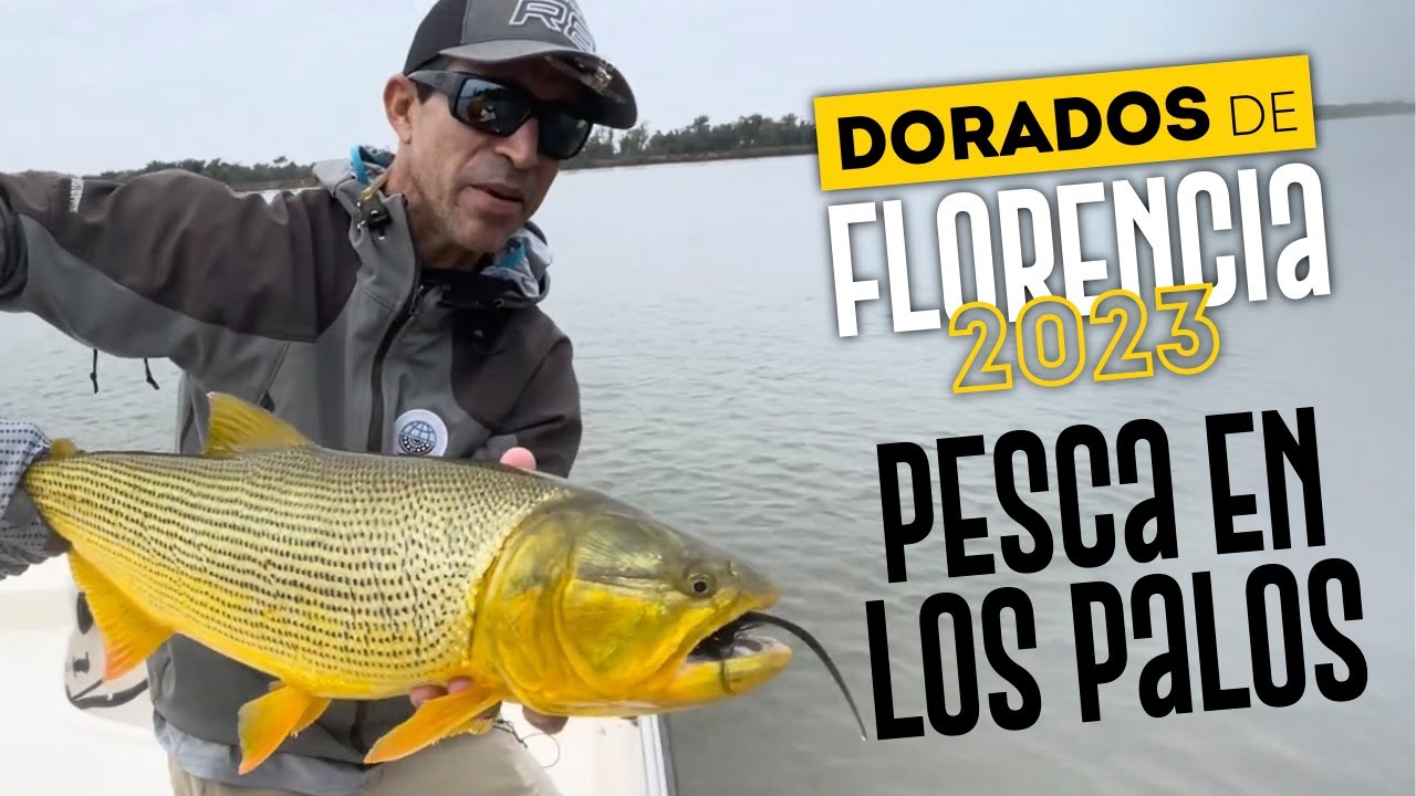 Pesca Florencia, dorados en los palos.
