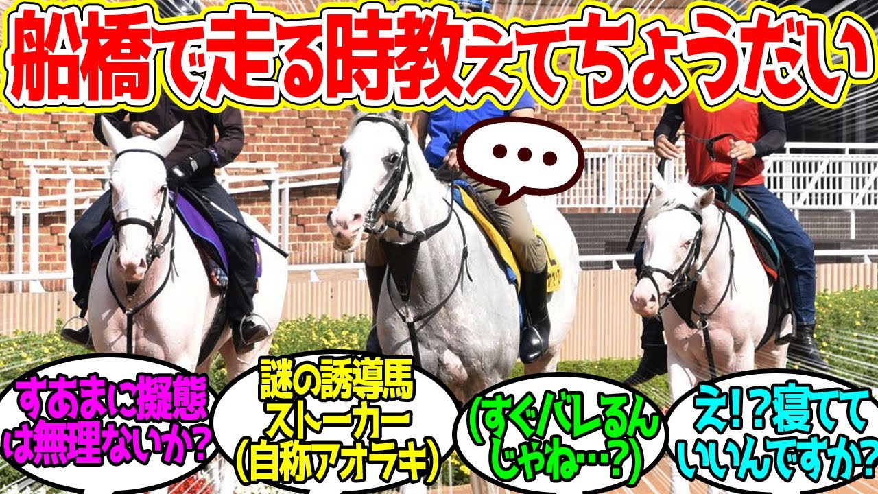 ソダシ、ミューチャリー様に会うためアオラキの姿に化けることを企む…に対するみんなの反応！【競馬 の反応集】