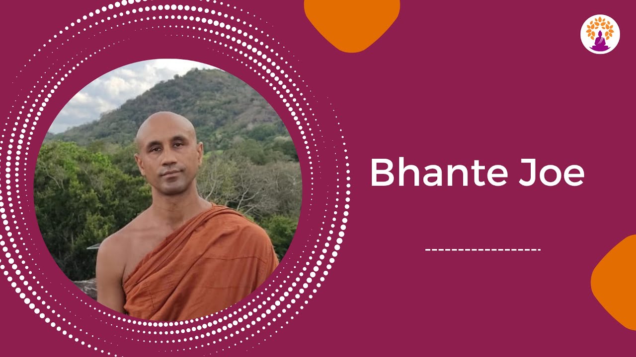 LIVE Dhamma talk - BSV | Bhante Joe | 02 NOV 2025