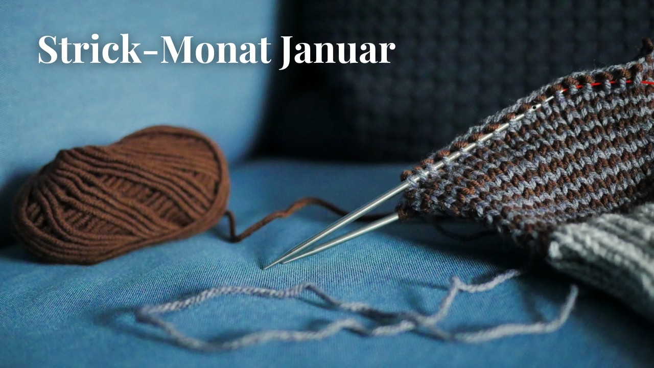 Strickpodcast: Januar-Ziele erreicht? Spenden stricken & Strick-Journal-Update | StrickVlog