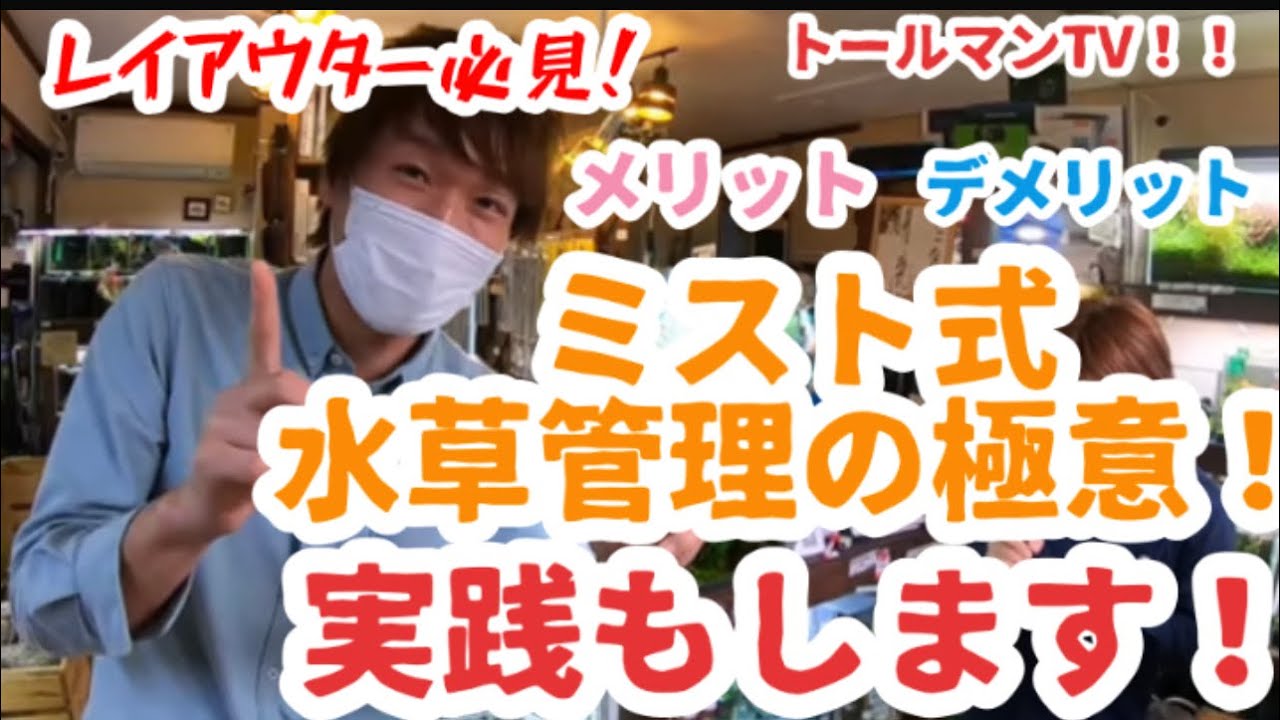 ミスト式の極意！メリットデメリットについてと実践編！トールマンTV！