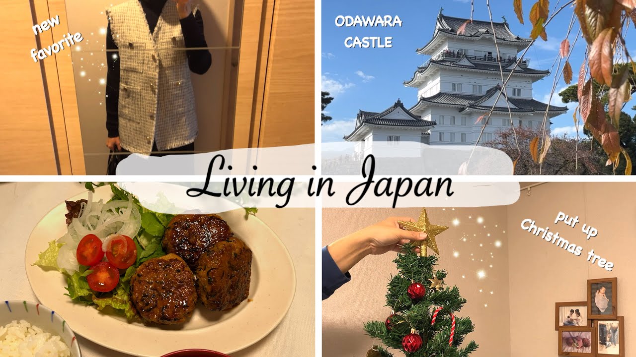 купить закуски, закупиться продуктами, замок Одавара, поставить елку🎄 Japan Vlog