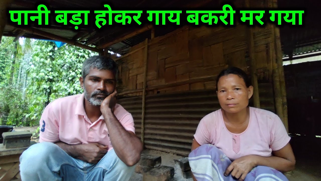 फादर्स डे का दिन पर पानी बड़ा होकर गाय बकरी मर गया।7k youtube family is complete