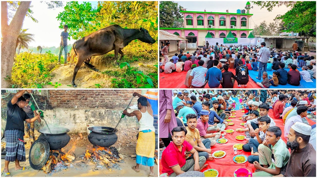 🐄 একটি গরু দিয়ে ইফতারের আয়োজন আমাদের 