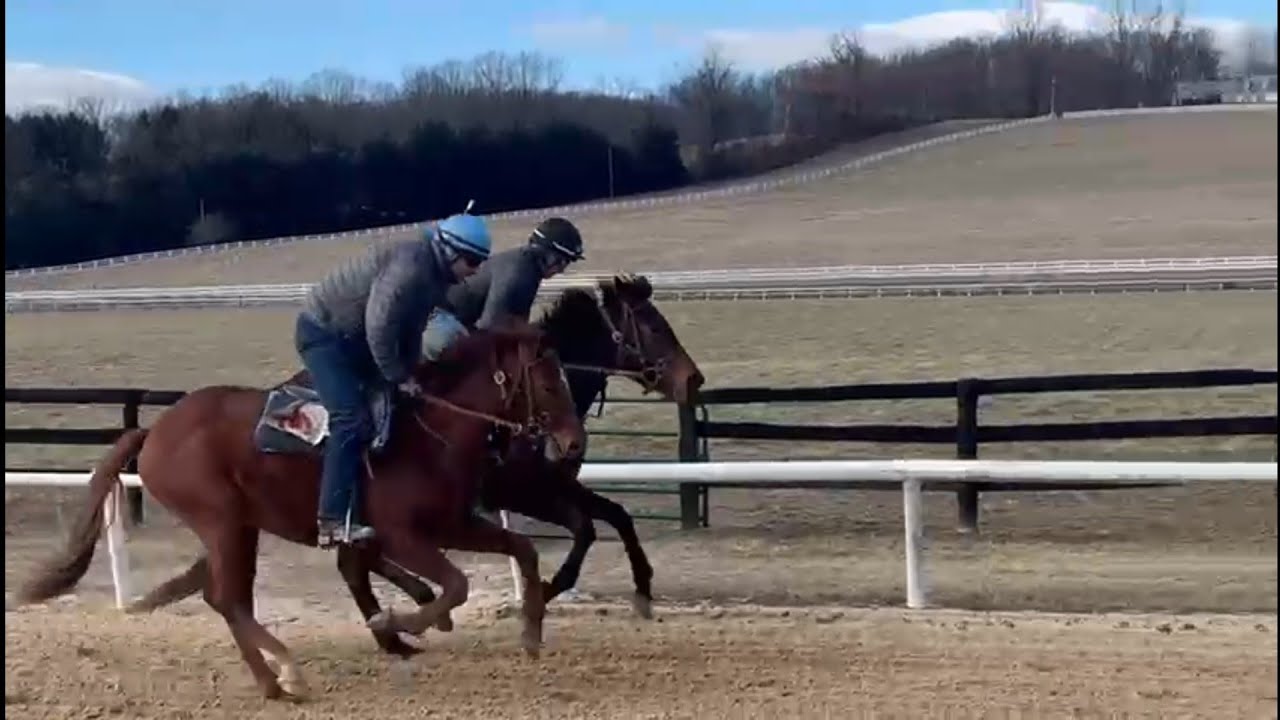 Osanna (rail) and Engage the Secret galloping on 1/15.