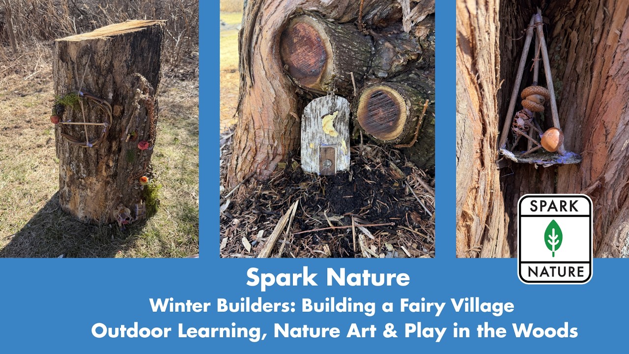 Kids Build a Magical Fairy Village in the Forest 🌿 | Winter Builders Week 4