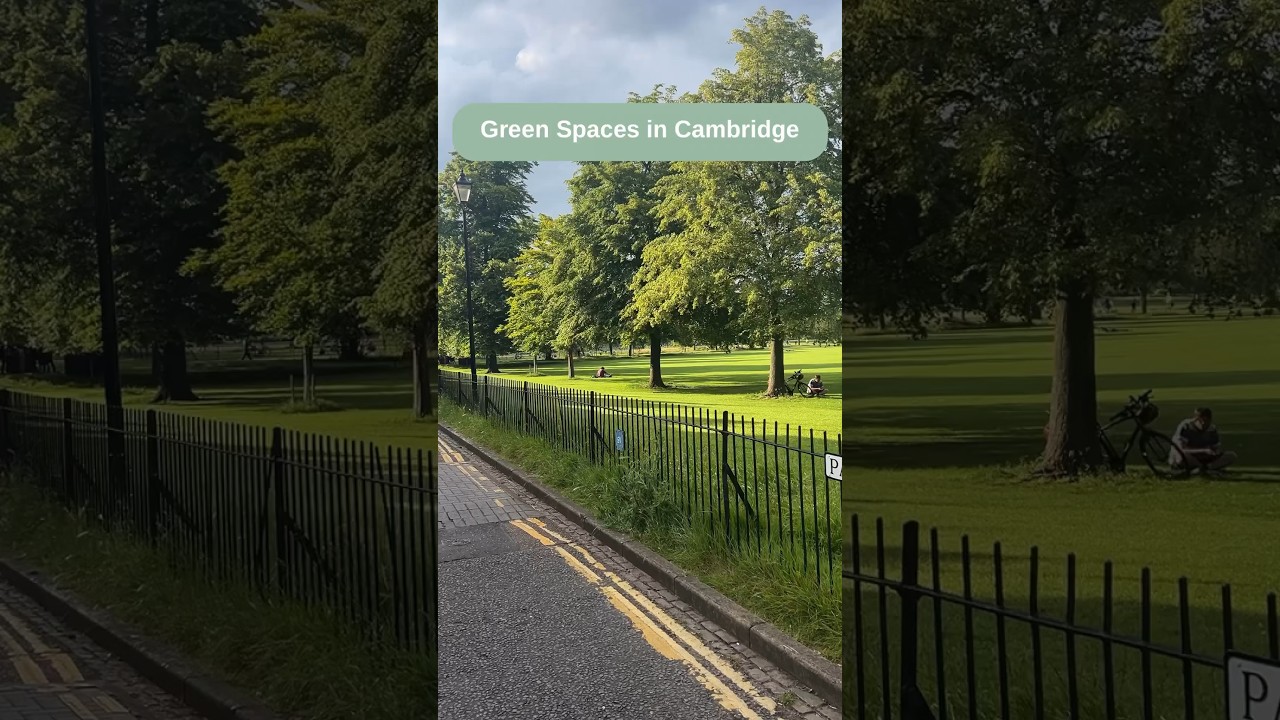 In Cambridge, we are blessed to have so many open green spaces 💚