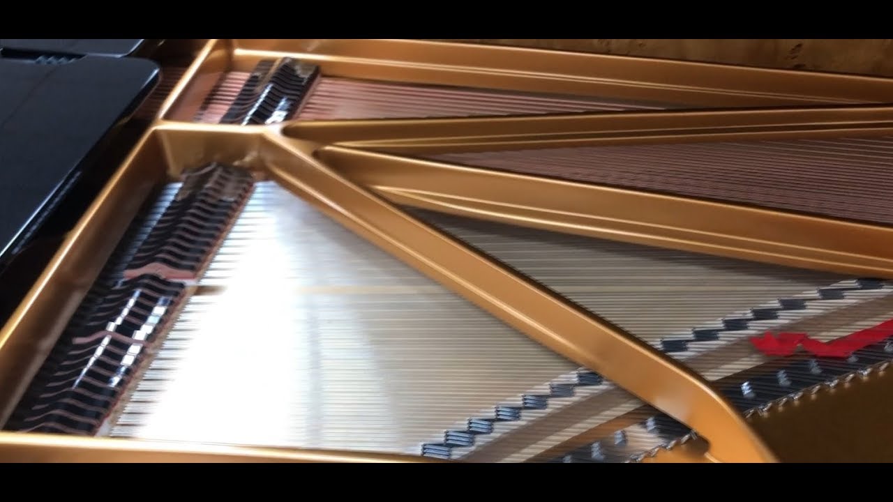 Piano Playing Tour! (Fazioli; Bösendorfer; Petrof; Charles Walter; Robert Estrin!)