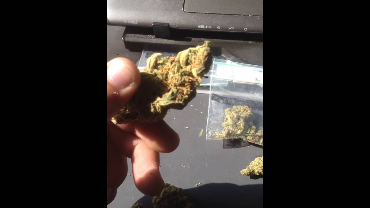 Super Silver Haze