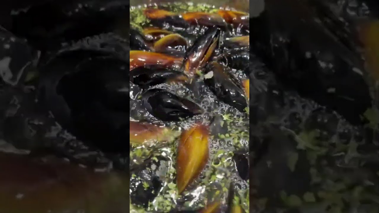 Mussels in Wine Sauce - Sea Food - Easy Greece recipe