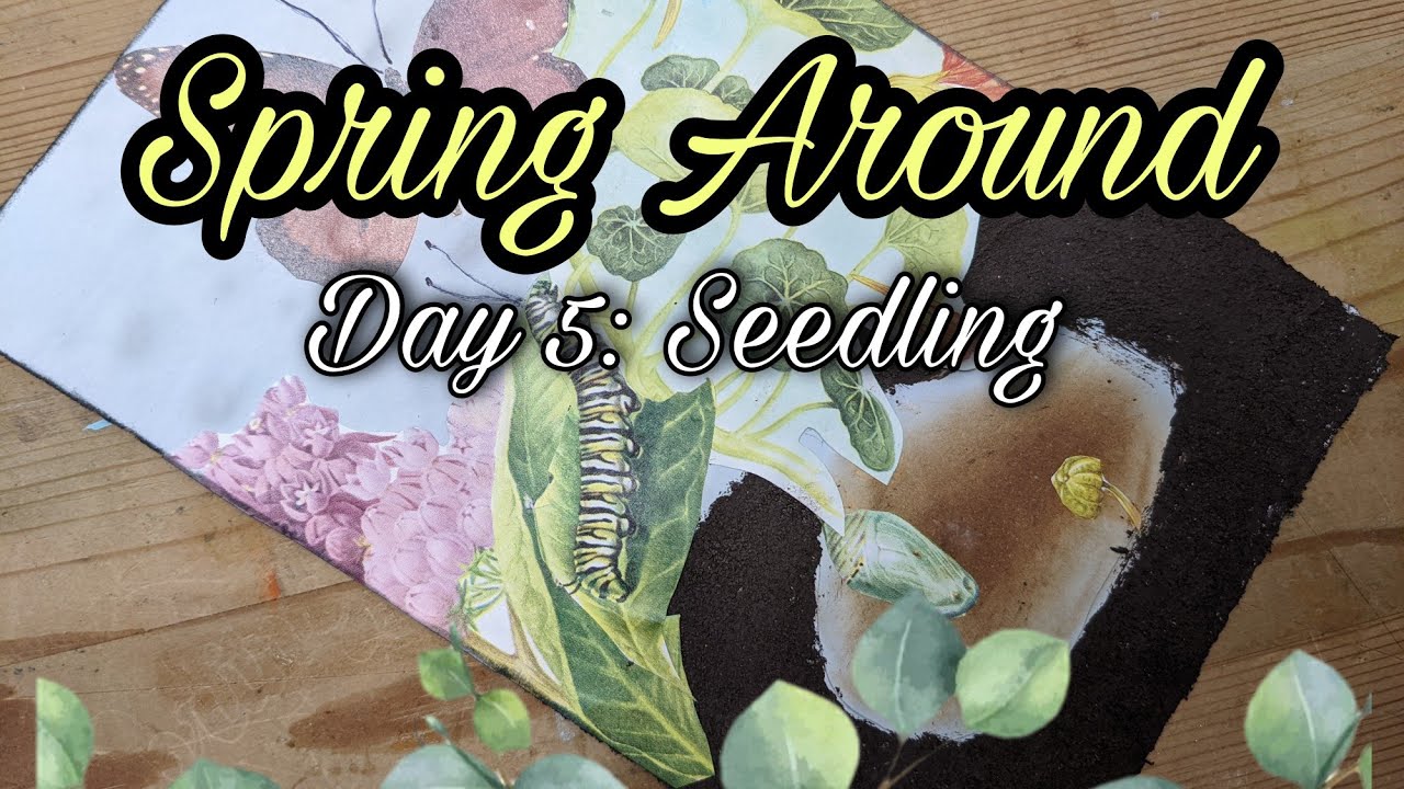 Spring Around Day 5 - Seedling - Ephemera Collaboration #springaround22
