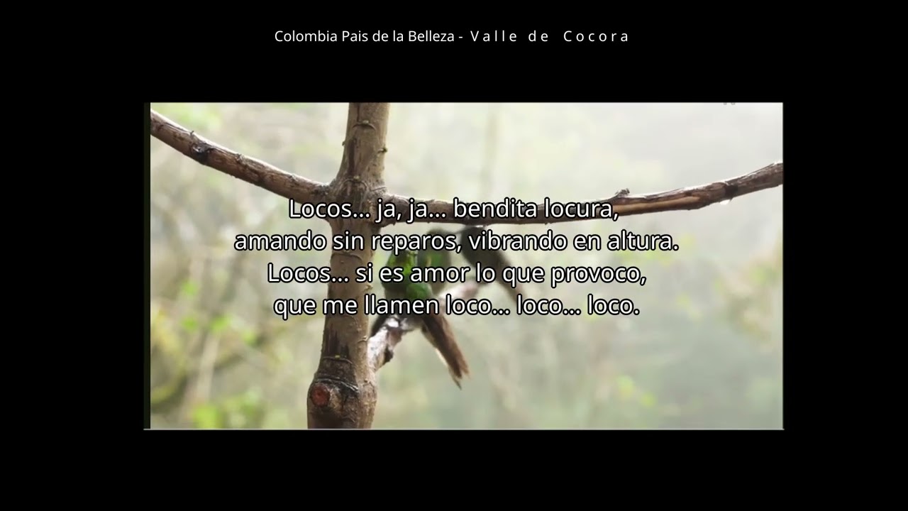 CANCIÓN -POEMA   “ El loco que sueña”