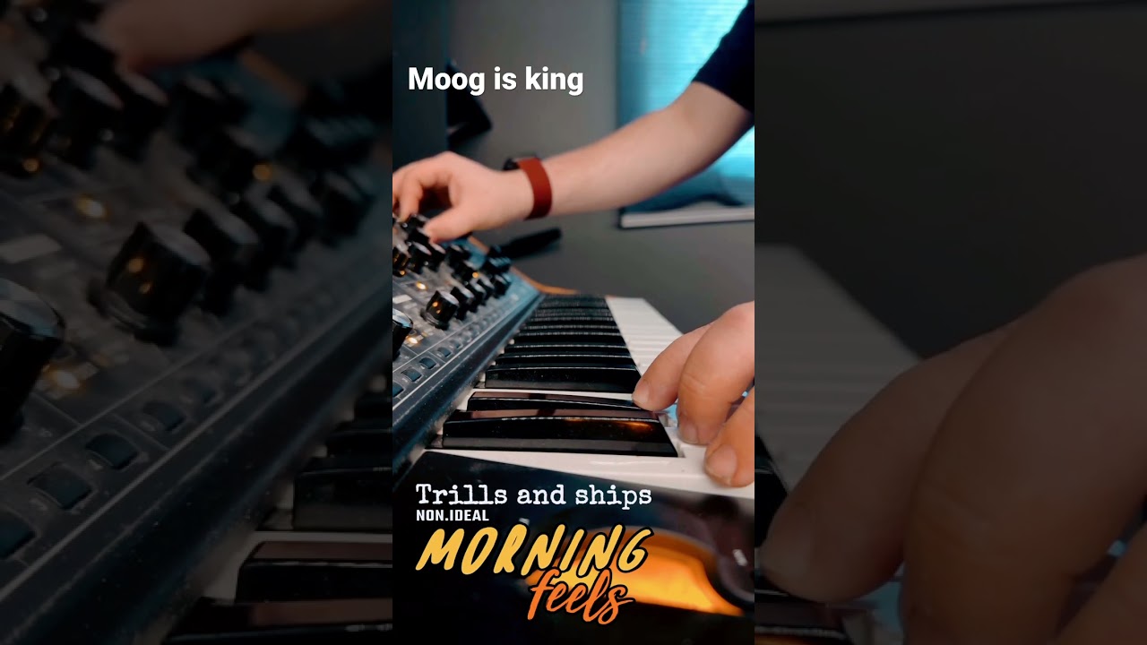 Sub37 music :D #sub37 #moog #subsequent37 #electronicmusic