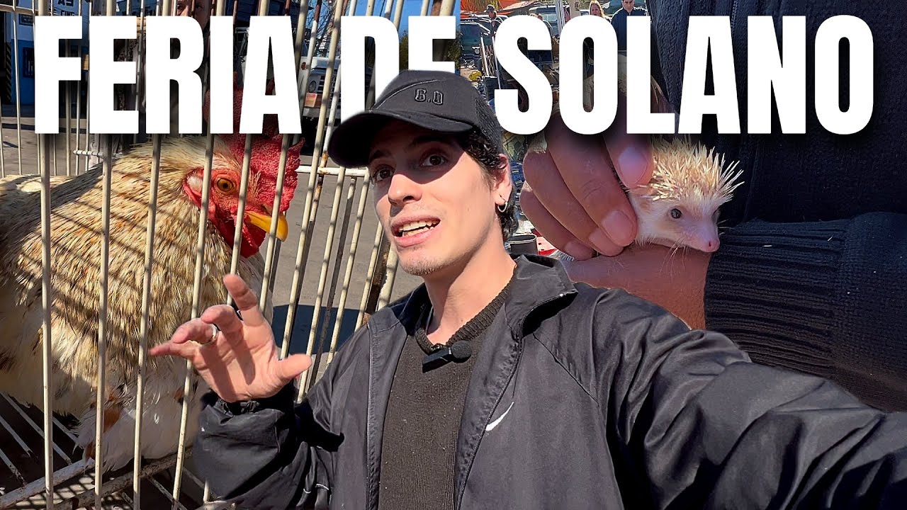 SOLO EN LA PELIGROSA FERIA DE SOLANO