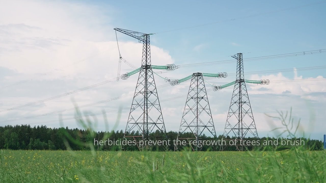 Featured Decision- Court rules power company can use herbicides under transmission lines.