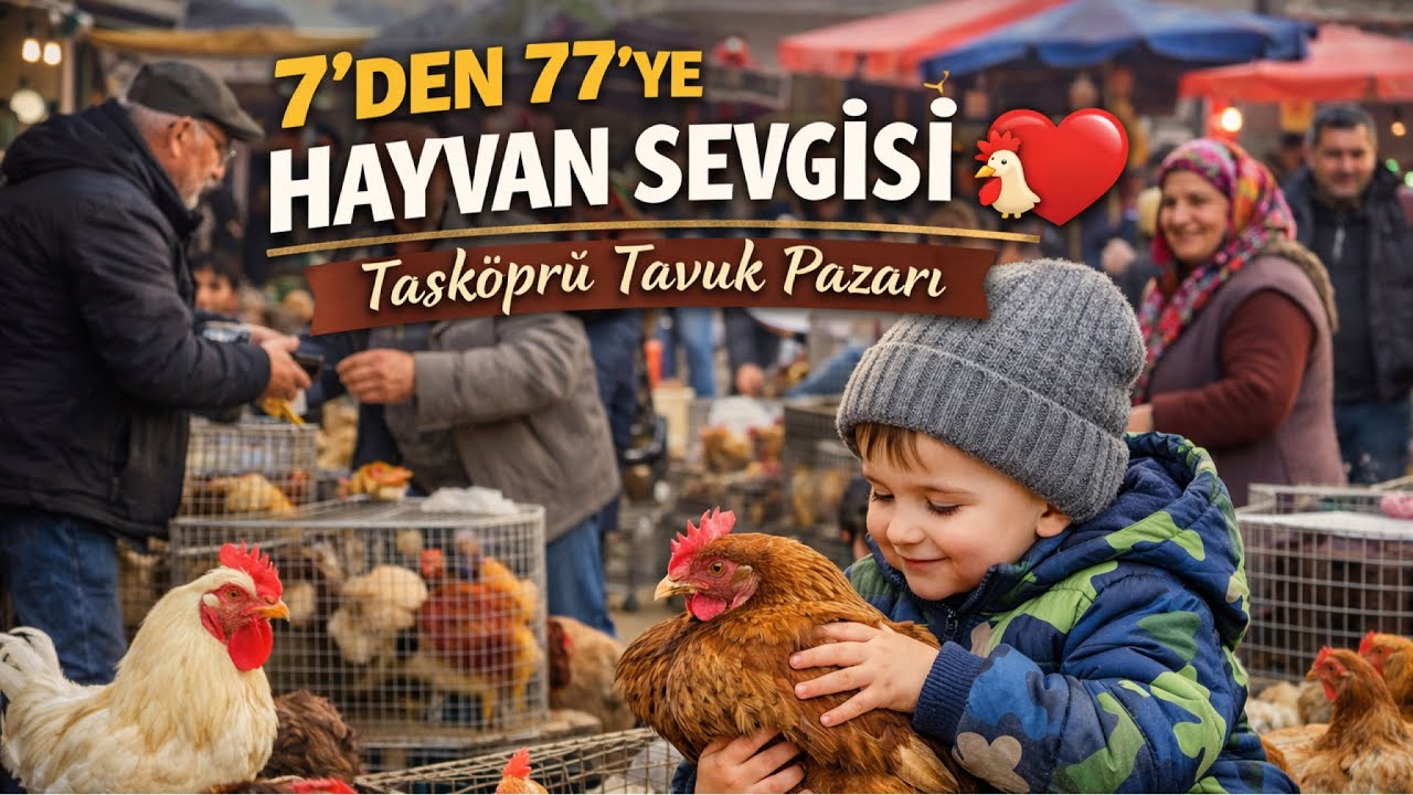 Minik Çocuğun Tavuklarla Buluşması Minik Yürek, Büyük Sevgi Taşköprü Pazarı’nda Güzel Alışverişler 