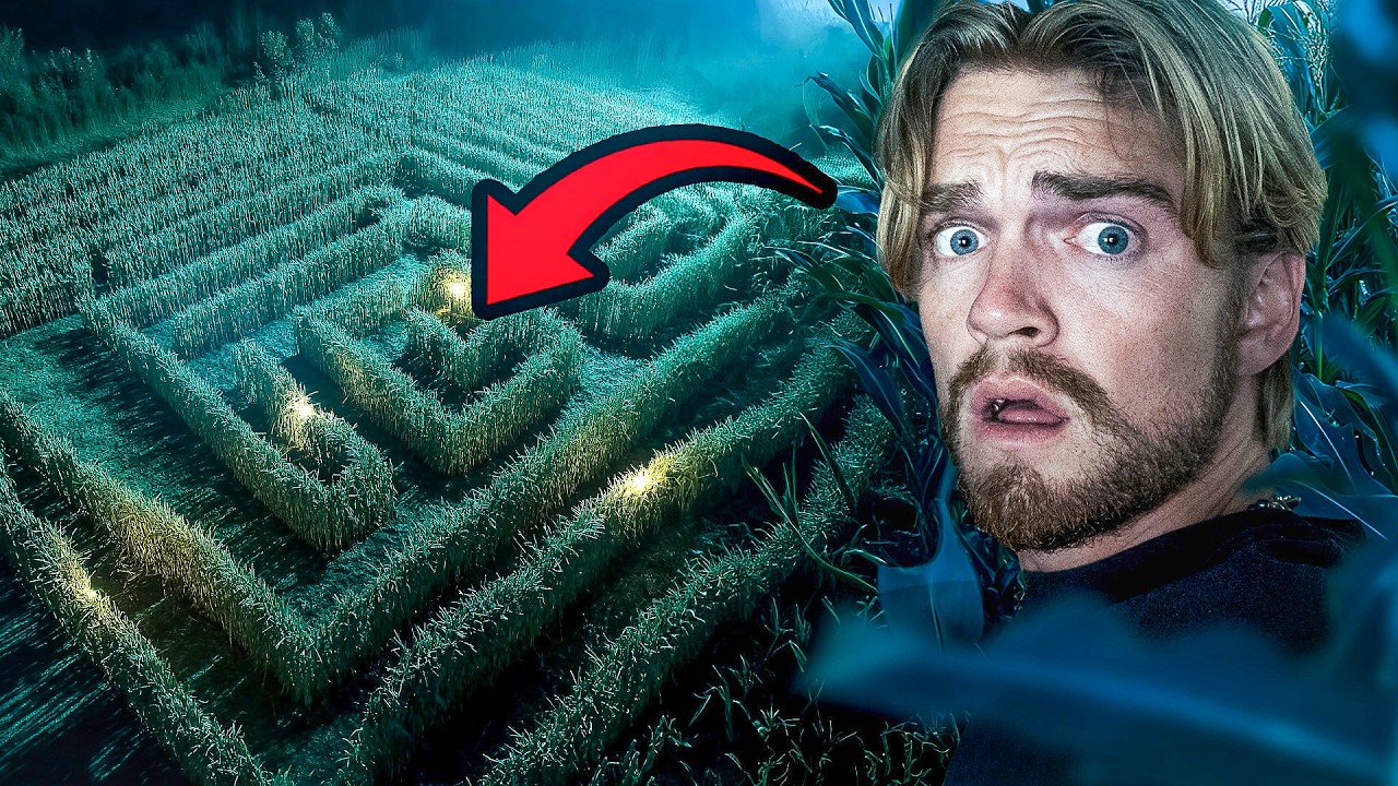 Ik Overleefde Het Engste Horror Maïsdoolhof...