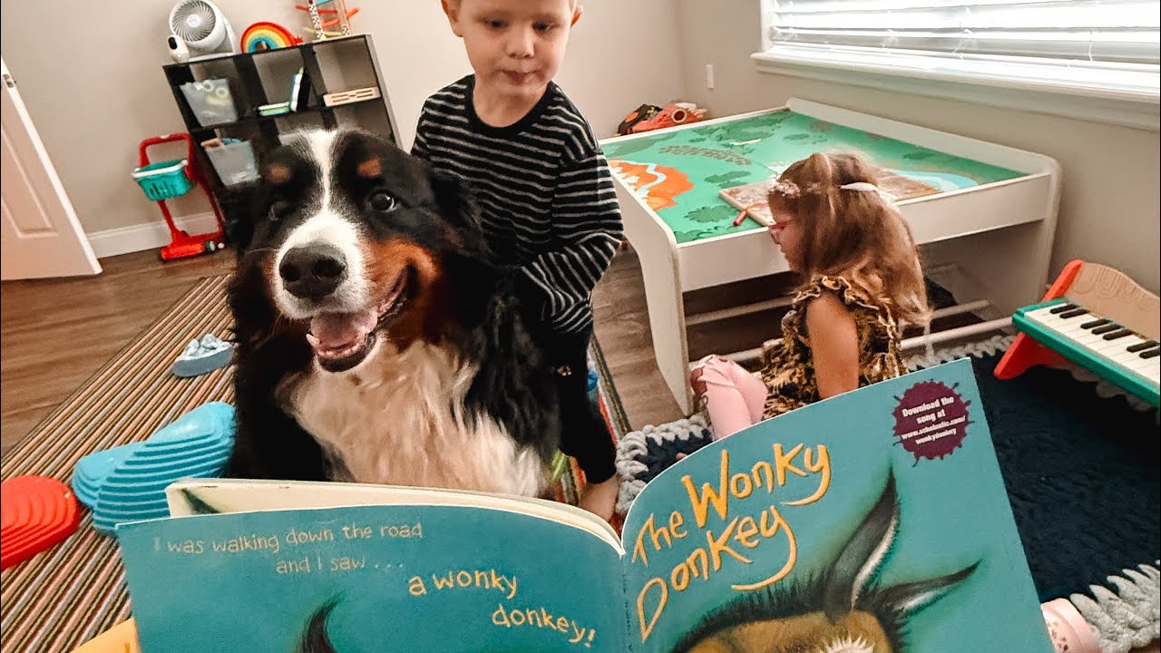 Homeschooling My Bernese Mountain Dog