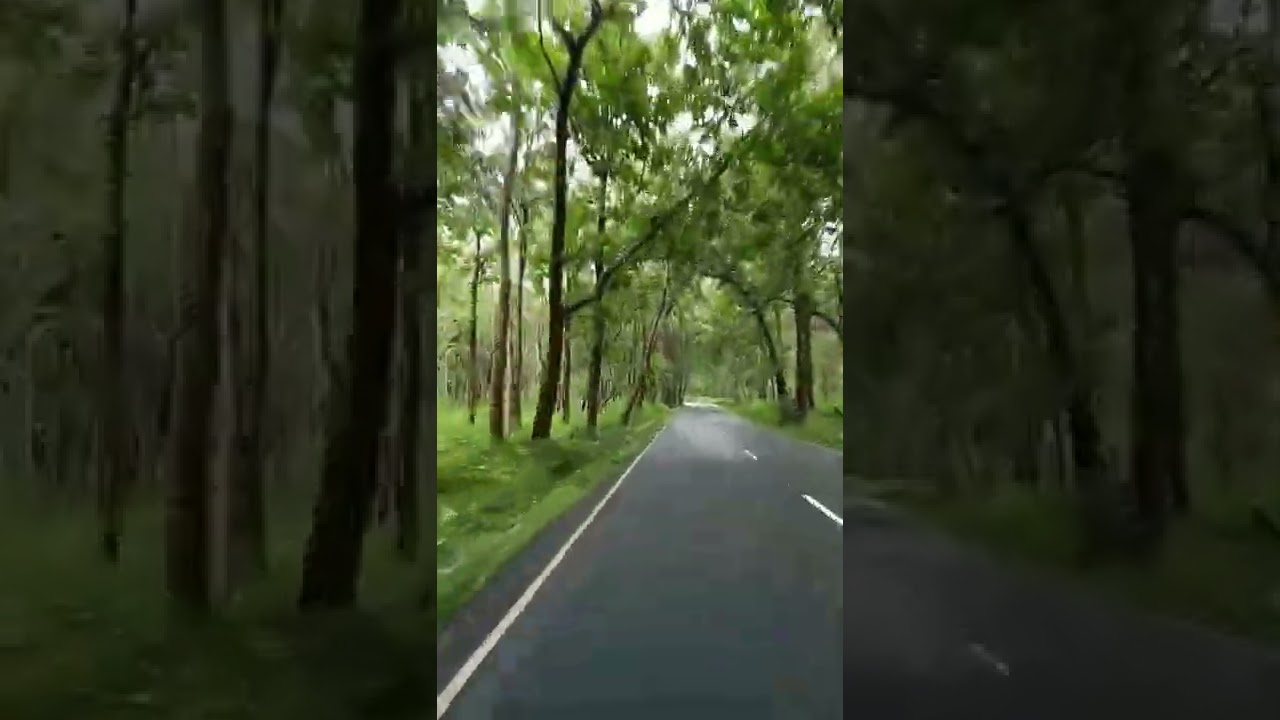 wayanad to gundalpet