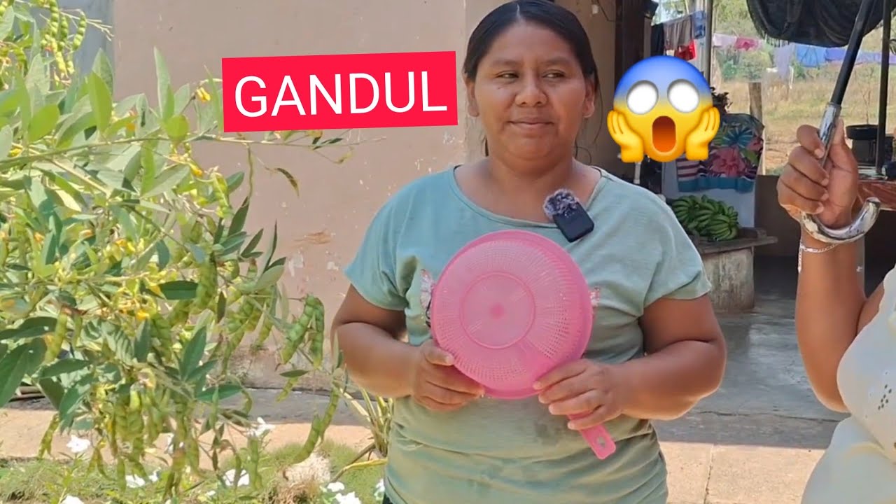 MARIBEL Prepara GANDULES Con ARROZ,Al Estilo JABALÍ😱😱