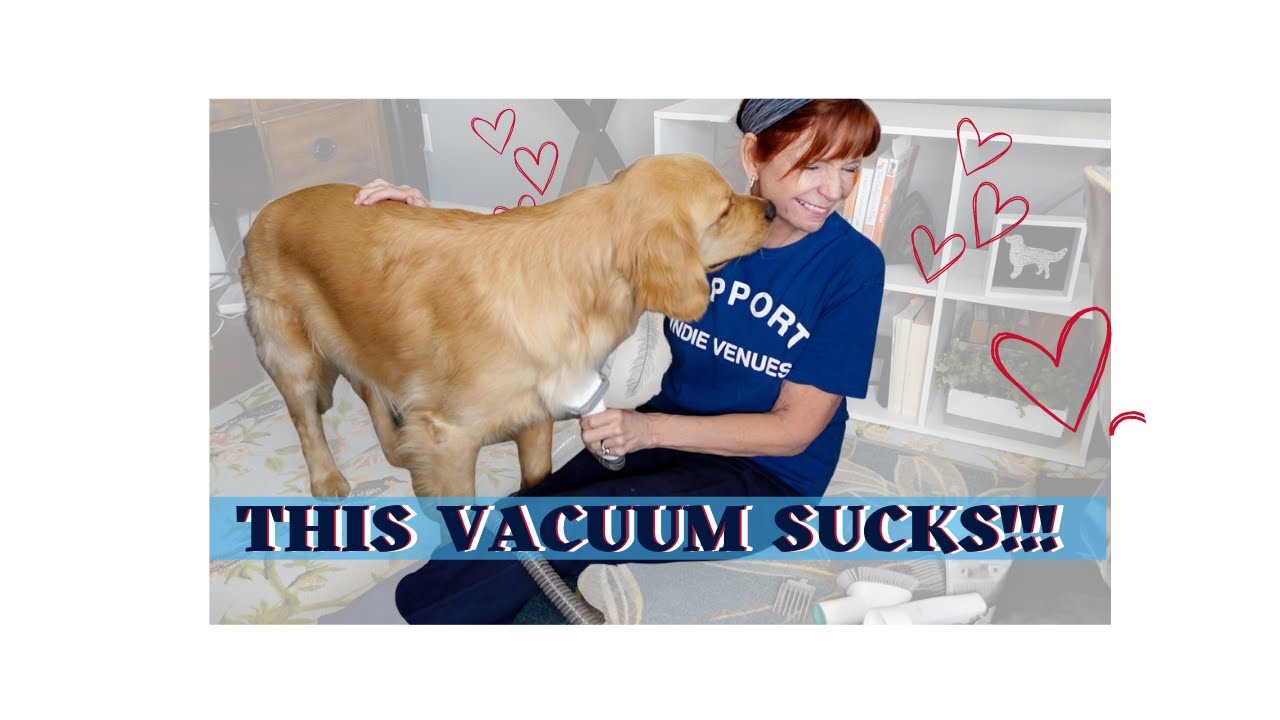 Grooming Your Pet Has Never Been Easier: Neakasa P1 Pro Review