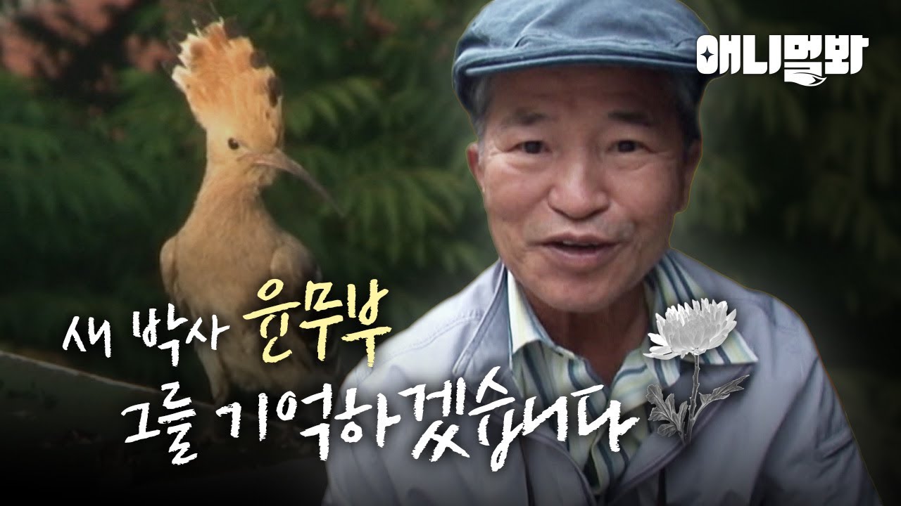 [추모영상]새를 사랑했던 윤무부 박사님 그를 기억하겠습니다 I We will remember Dr. Yoon Moo-bu, who loved birds.
