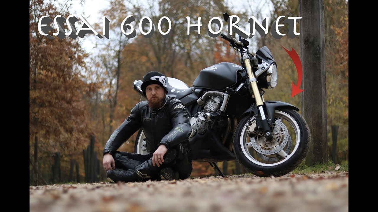 essai 600 hornet La moto de mr et mme tout le monde ?!