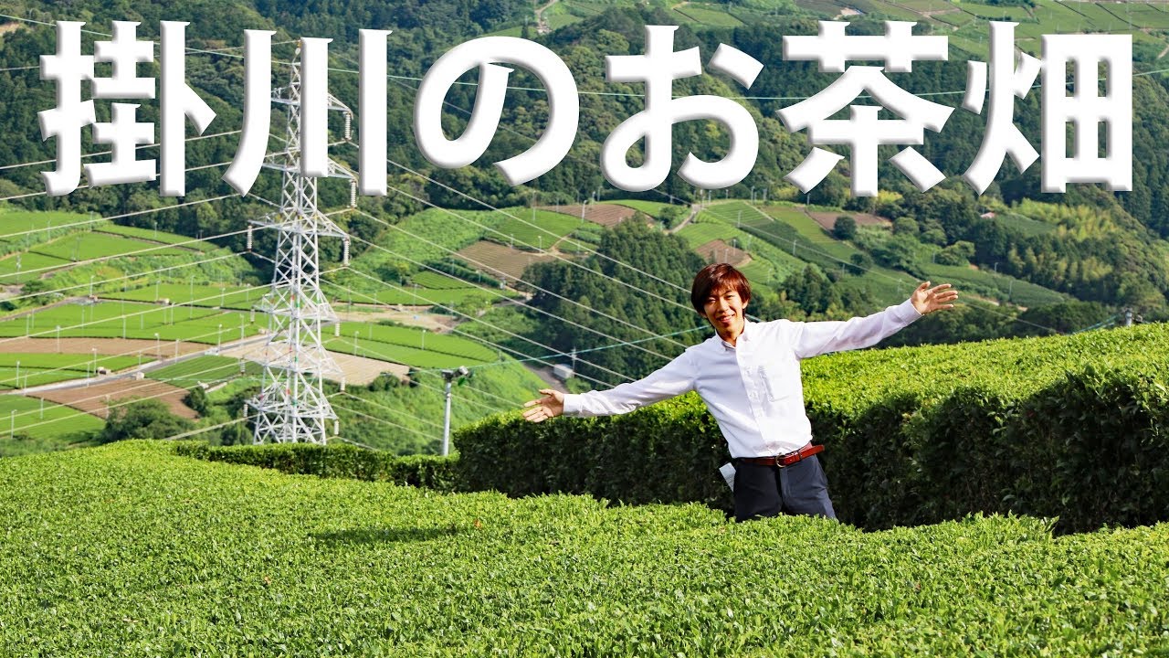 【静岡】お茶の名産地 掛川で茶畑めぐり【1906静岡】掛川駅 6/26-101