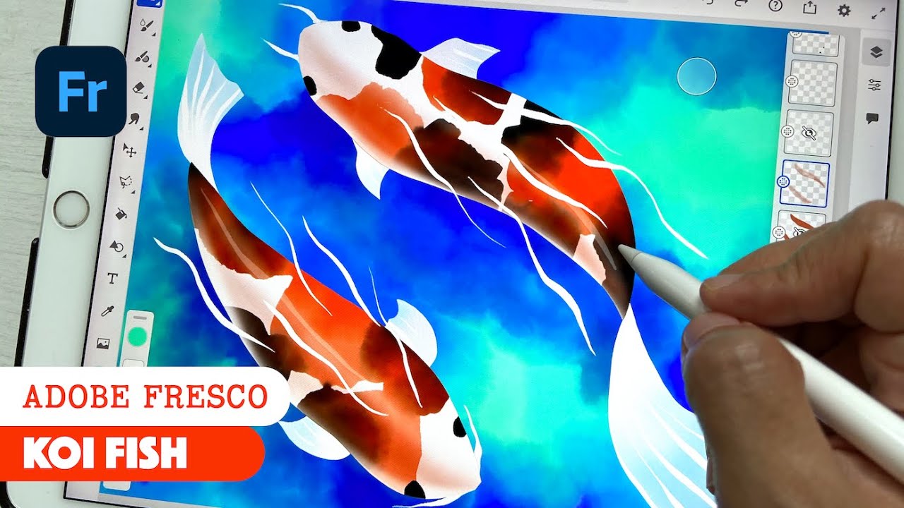 How to draw Koi fish in Adobe Fresco