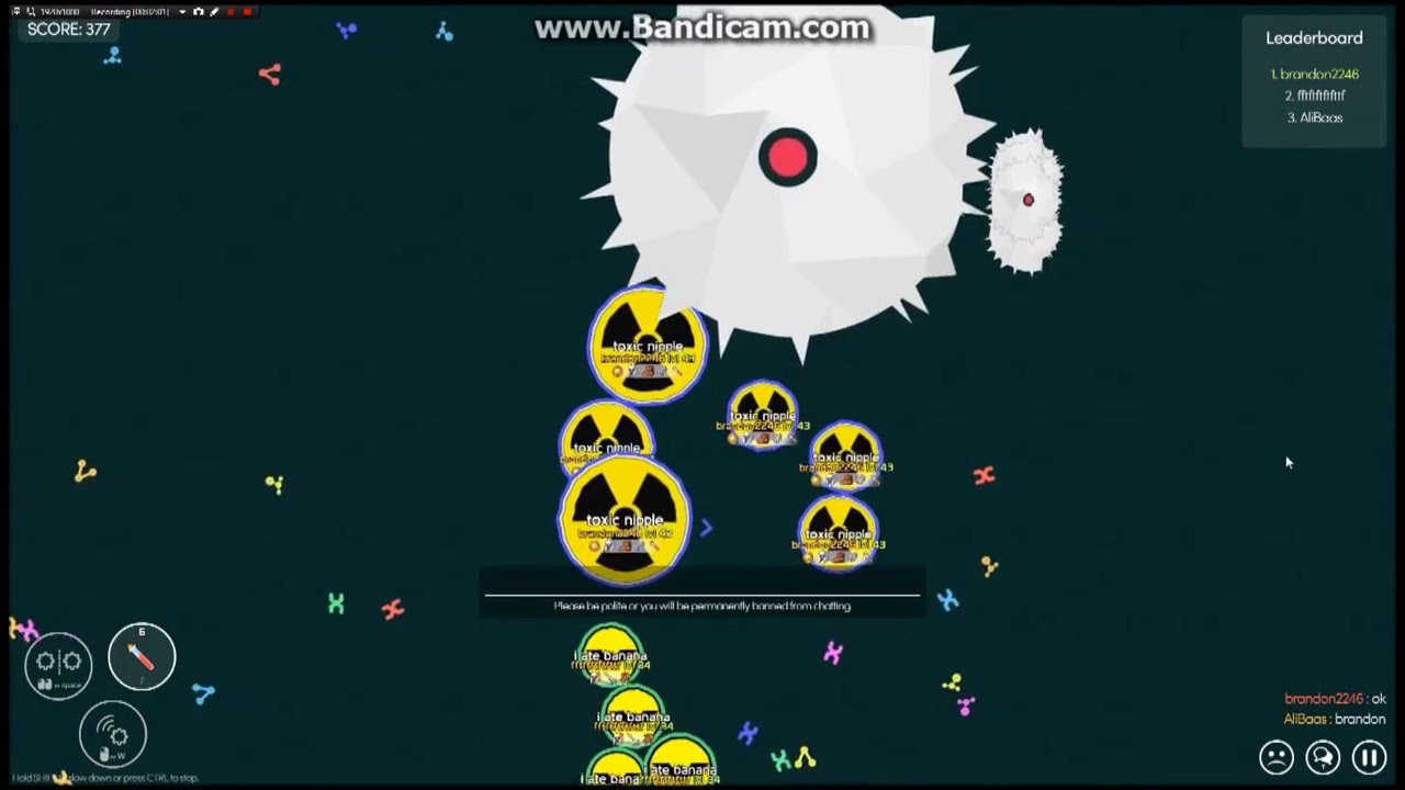 WORLD RECORD! BIGGEST VIRUS SPIKE IN MITOSIS