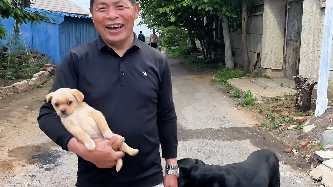 爸爸撿了只小狗