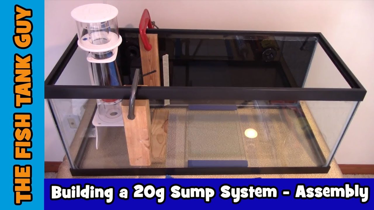 Building A 20G Sump System (Assembly)