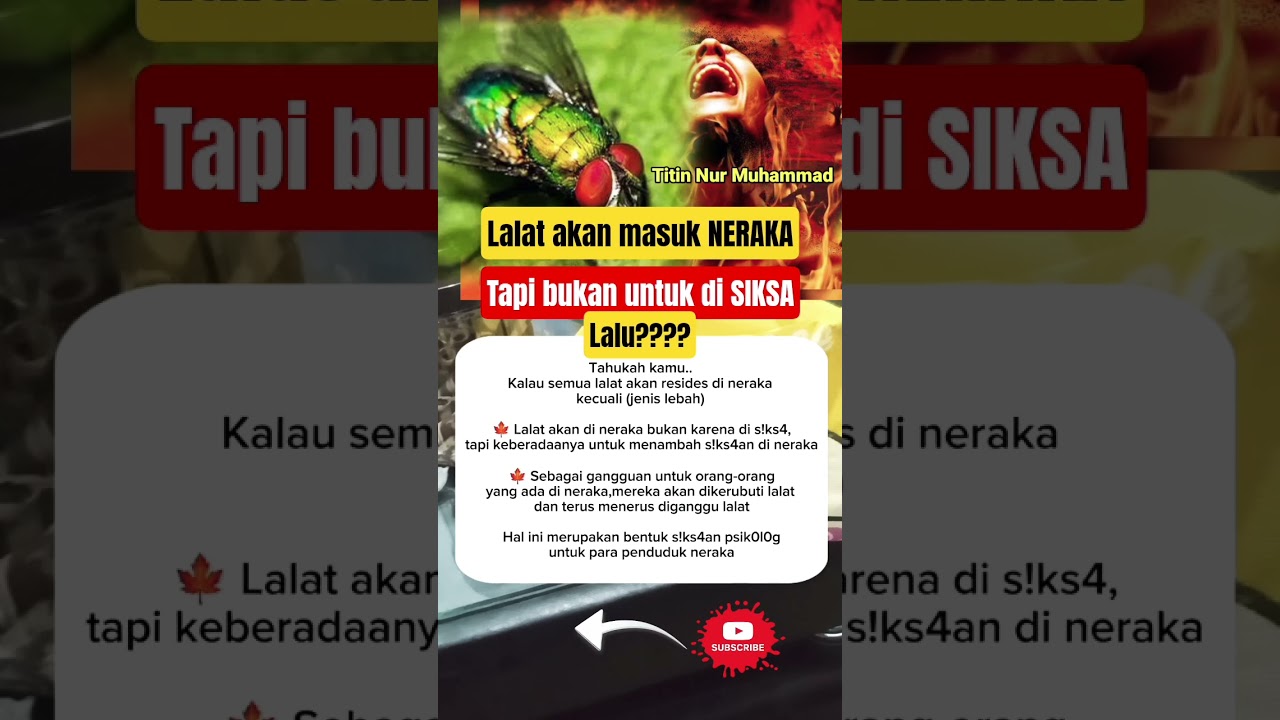 Lalat Akan Dimasukkan Ke Neraka Oleh Allah Tapi Bukan untuk disiksa